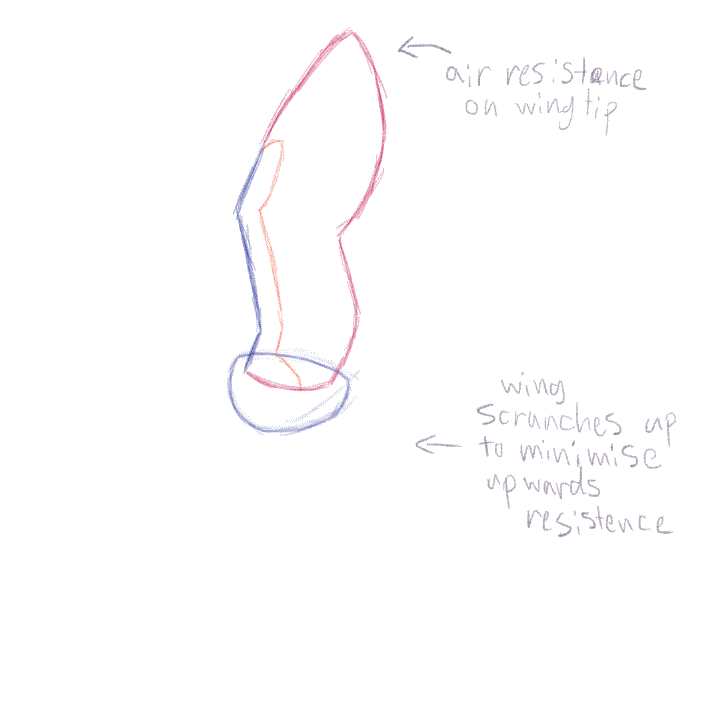 WingFlapMovement - SlabOfSlate.gif