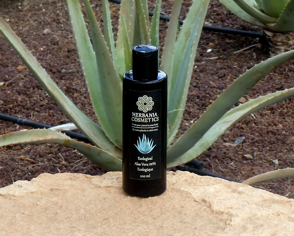 Miniature : Gel d'Aloe Vera 98%. 200ml