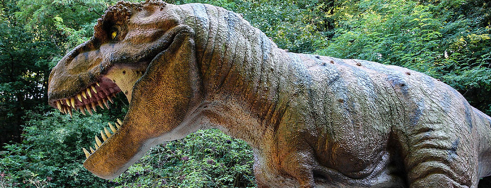 Tyrannosaurus rex