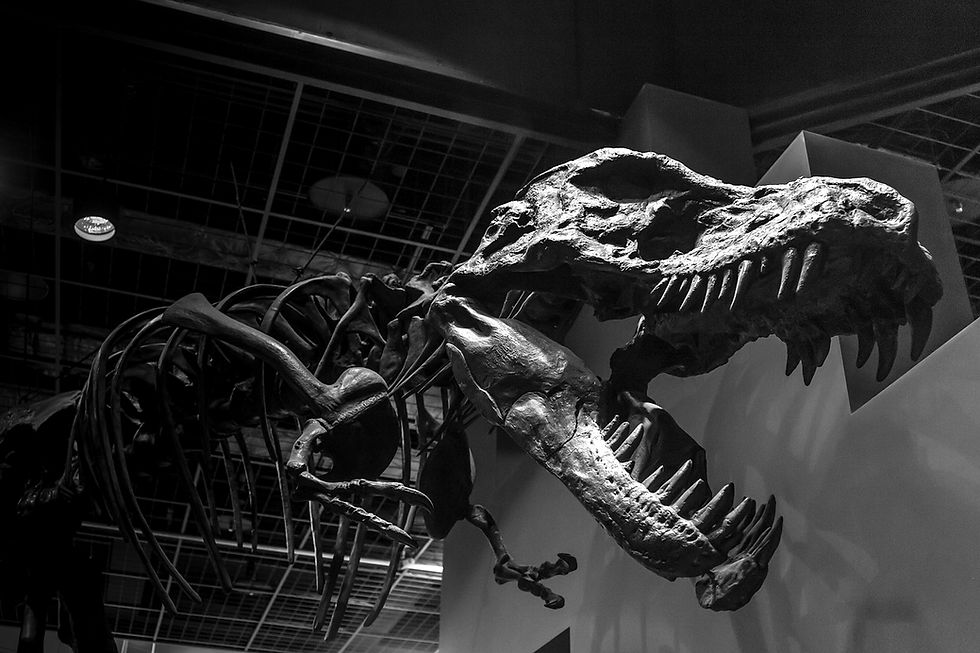 Tyranosaurus rex