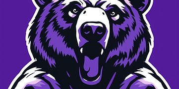 blair bears sports with purple same image remove bear_edited.jpg