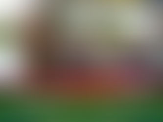 Best Plots for Sale in Madurai – Why Karuppayurani is the Top Investment Location in 2026