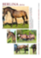 BELLA printable photos on A4 copy.jpg