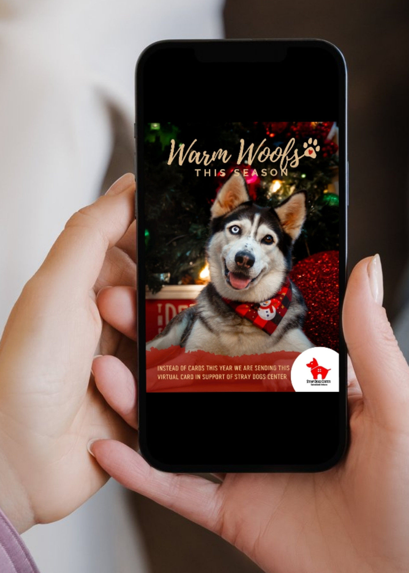 Warm Woofs - Digital Card