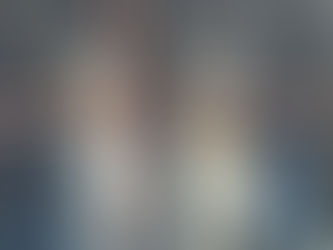 Rescue dogs at Stray Dogs Center, a mixed breed dog and a husky waiting for homes