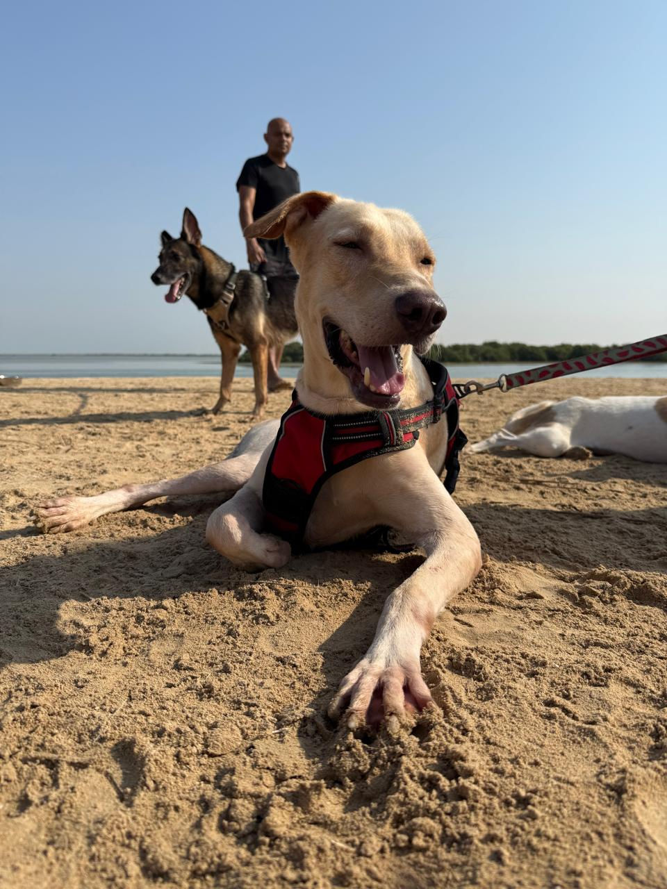 Craigey could not stop smiling, he just loved it.