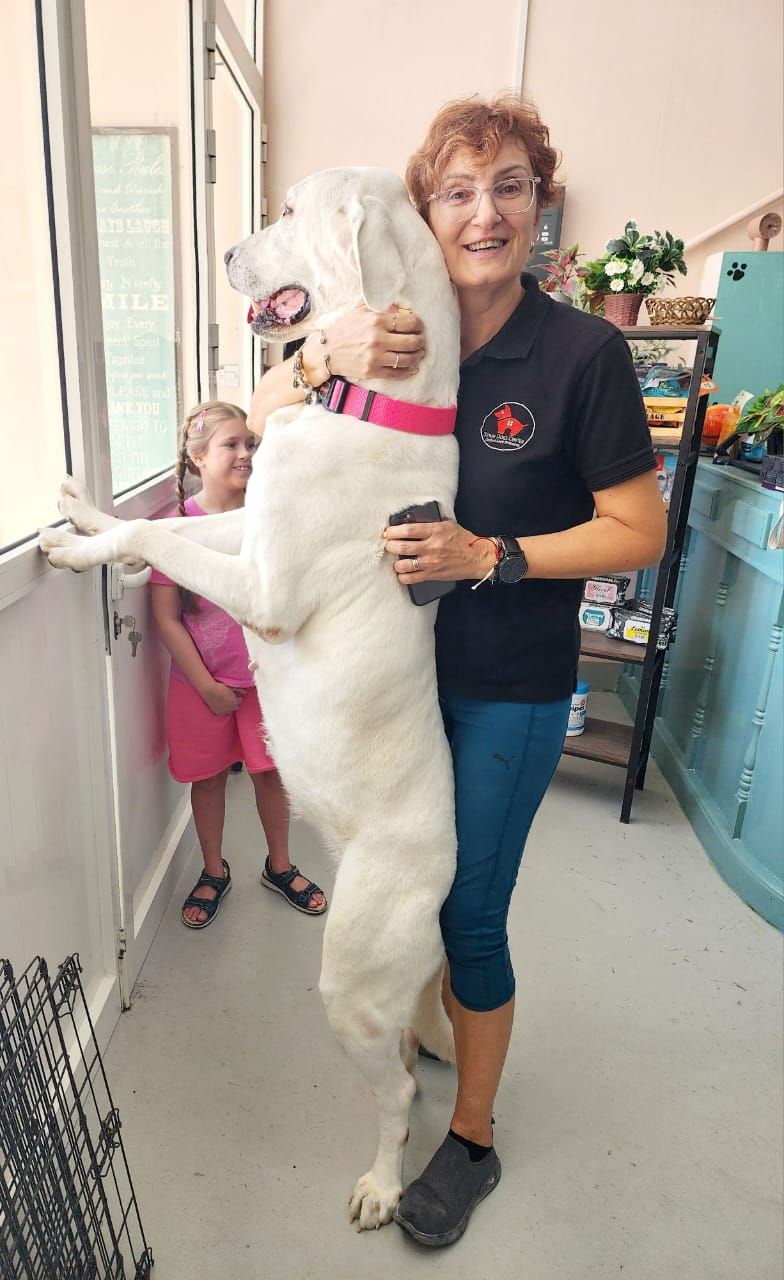 Ludmila with a Great Dane dog she is trying to rehome
