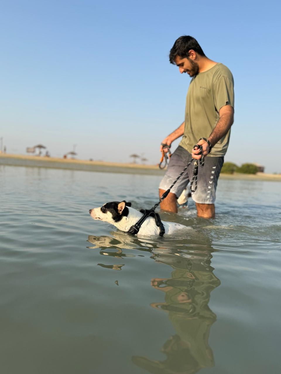 Tripaw Jack Russel mix Mimi went straight in for a swim!