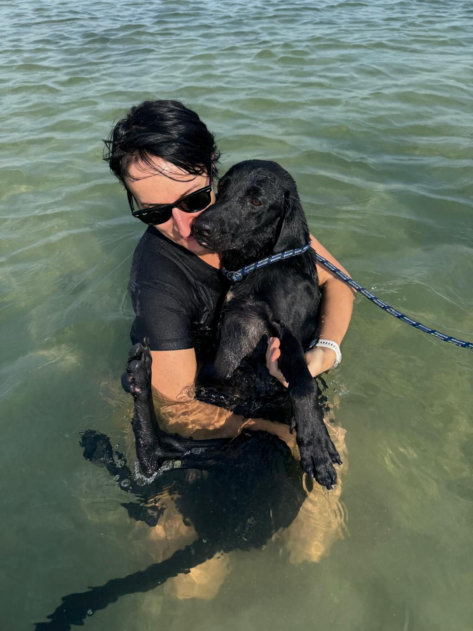 Black Labrador mix Tango was gently helped into the water.