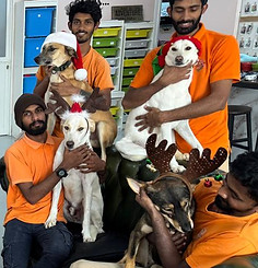 WhatsApp Image 2024-12-25 at 15.07.47.jpeg