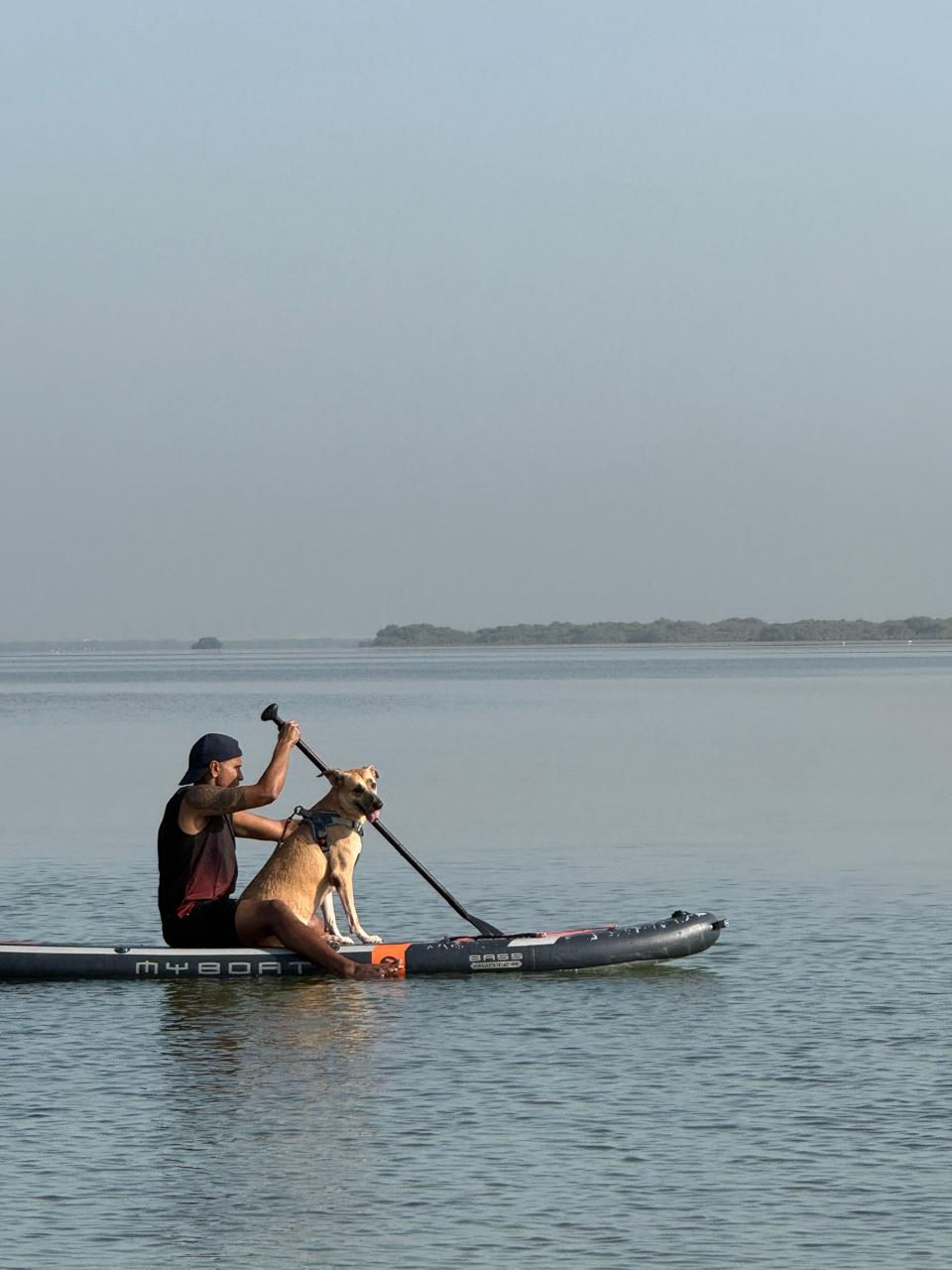 Some shelter dogs got to experience the water without getting wet, on a paddle board.