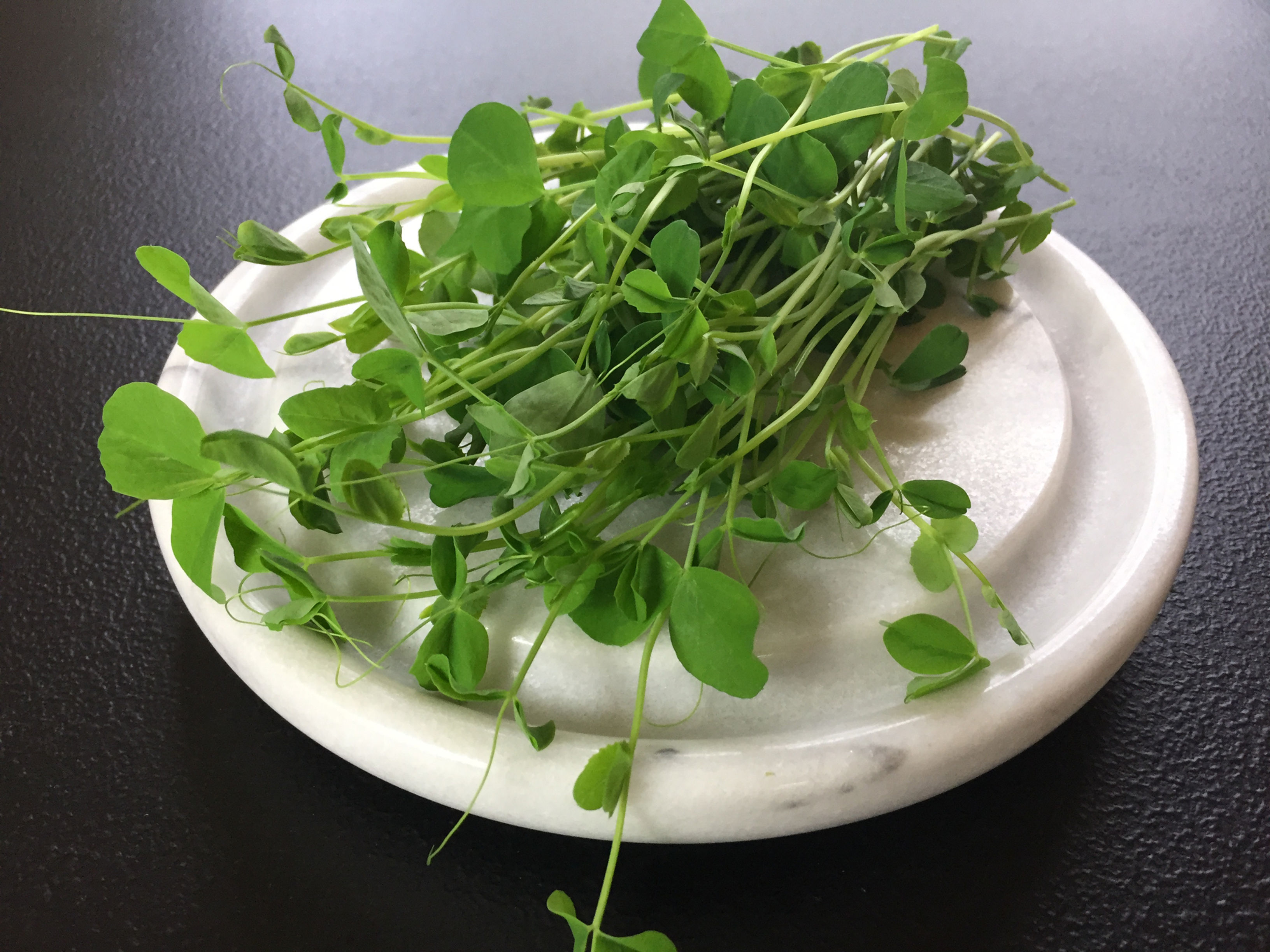 Pea Shoots