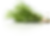 Rosemary