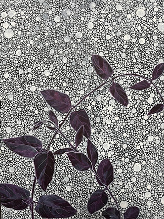 Plectrathus in Horto Sensuum, 2024, gouache, 29X39.JPEG