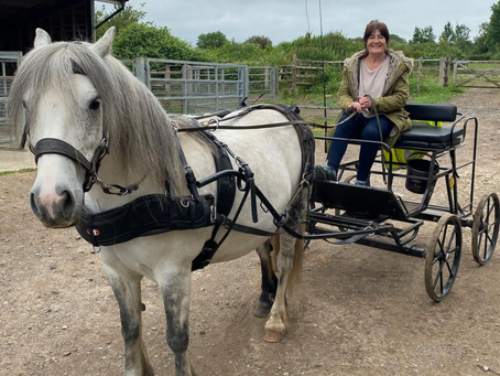 POSITIVE AGEING LED ME IN MY 60's TO VOLUNTEER TO WORK ON A FARM