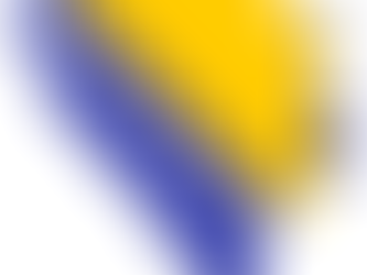 Bosnia and Hercegovina:
A Constitution in Need of Change