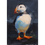 Thumbnail: Greetings card of a puffin