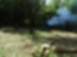 DSC00507.JPG