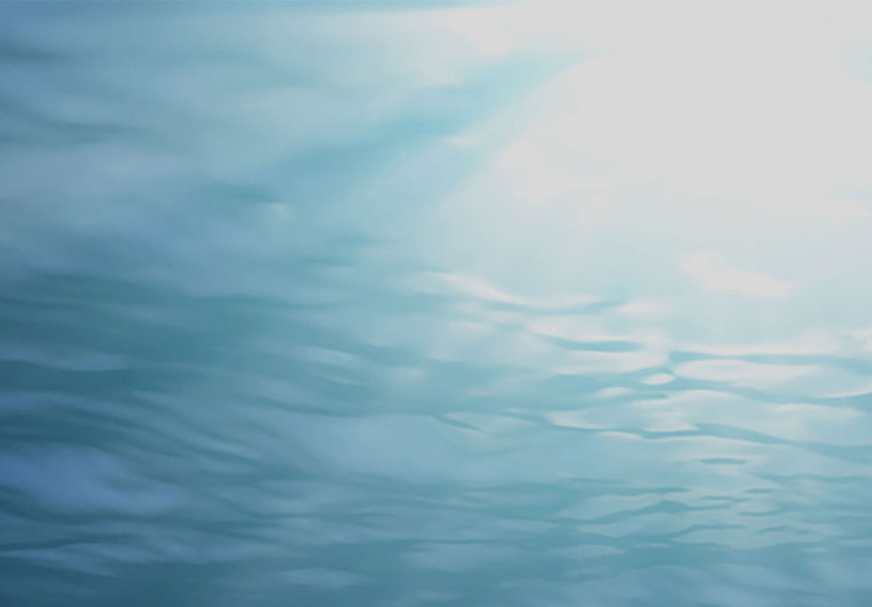 shop-top-bg1.jpg