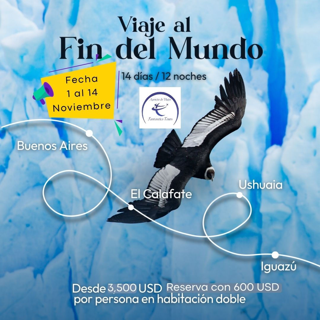 flayer fin del mundo