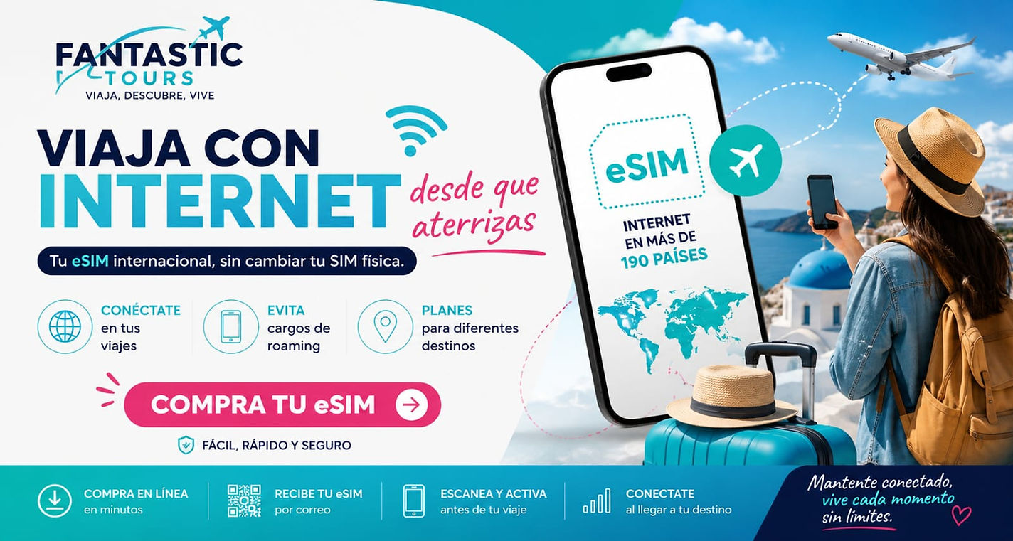 seccion web.jpeg