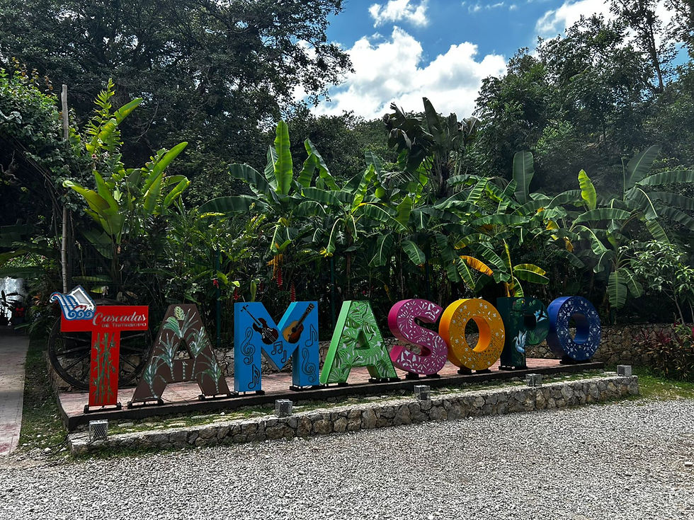 Viaje aTamasopo y Puente de Dios