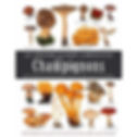 Le grand guide Larousse des Champignons