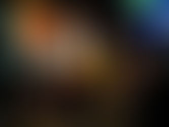 11月12月のライブ