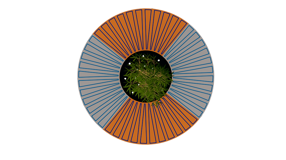 Miniatura: Dominica