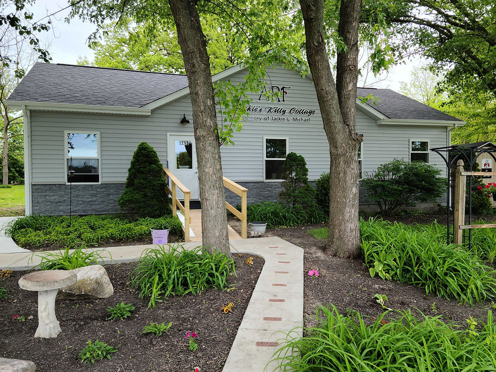New Kitty Cottage is Open!