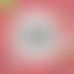 Fodbods Healthy Snack Flavours Compared & Taste Tested