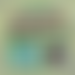 Googys Apple Cinnamon Good Egg Protein Bar Review