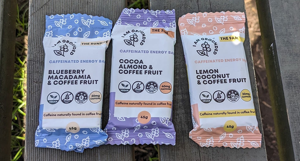 I am grounded protein bars trio
