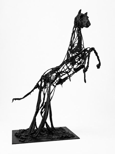 Fire Horse 6.jpeg