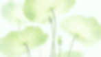 Greenfields - Animated.gif