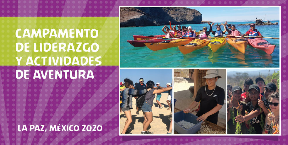 Campamento de Liderazgo en La Paz BCS con actividades de aventura y formación