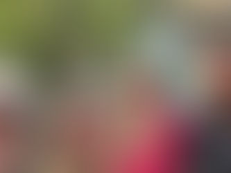 Waitangi Day Roadtrip to Manapouri