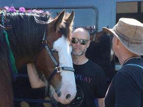 Oamaru A&P Show in the Sunshine