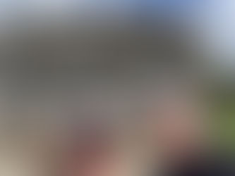 Chilling in Kerikeri