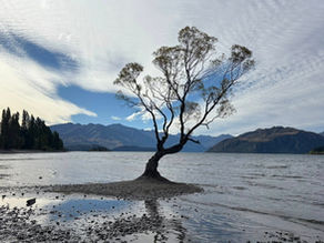 Through the Lindis to Wanaka