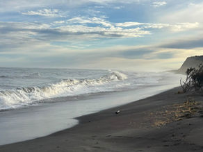 Wildest West Coast to Historic Ross