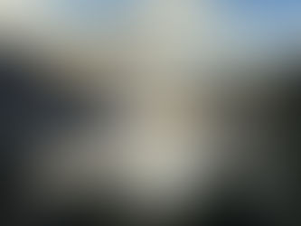 Early Bird catches the Reflection