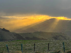 Road Trip! Banks Peninsula, Here we Come!