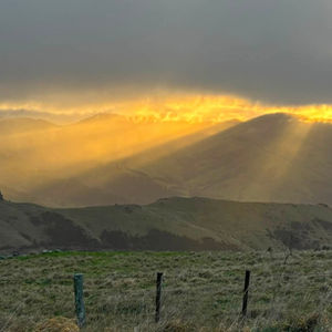Road Trip! Banks Peninsula, Here we Come!