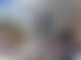 The most Expensive Tomato Ever!