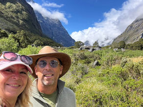 Milford Road Marvels