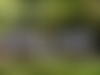 Wonderful Wedding with Marching Girls! 