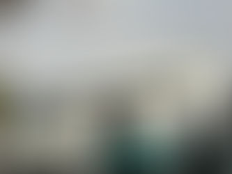 Out & About on the North Shore