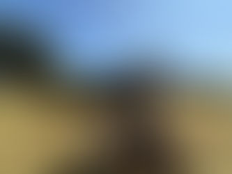 Clarkson's Aerodrome Farm!