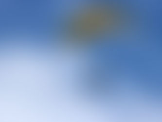 Sky-Diving Spectators